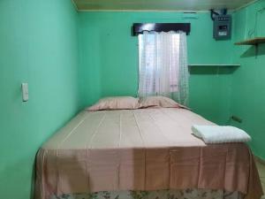 1 dormitorio con 1 cama en una habitación verde en Apartamentos y Hostal RUDON #4 en Puerto Cortés