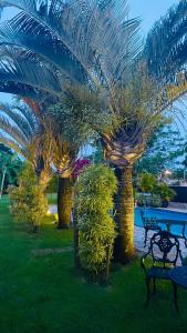 a park with a bench and some palm trees at Casa de Férias em Atibaia Piscina Climatizada in Atibaia