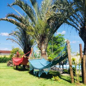 a hammock in front of a palm tree at Casa de Férias em Atibaia Piscina Climatizada in Atibaia