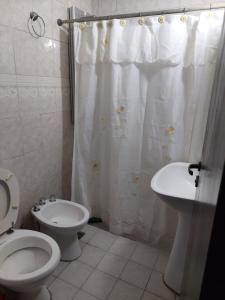a bathroom with a toilet and a sink at Malepa in Salta +14 photos