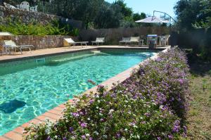 a swimming pool with chairs and flowers in a yard at Residenza La Mannara in Itri