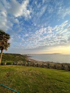 - une vue sur l'océan et un palmier dans l'établissement Cap Tingis, à Tanger