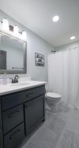 a bathroom with a sink and a toilet and a mirror at NEW! Murphy*Hot Tub*Fire Pit in Murphy
