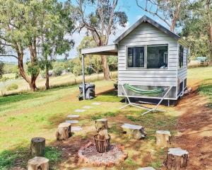 una casetta minuscola con amaca in cortile di Mornington Peninsula Tiny House - Tiny Stays a Red Hill Altre 4 foto