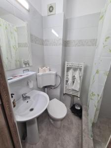 ピテシュティにあるGarsoniera Luxury Kevinの白いバスルーム(トイレ、シンク付)