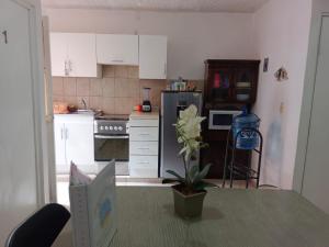 a kitchen with white cabinets and a table with a plant at Casa Morrocoy Ixtapa in Ixtapa