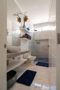 uma casa de banho com um chuveiro, um WC e um lavatório. em Casa Caribe Chetumal em Chetumal