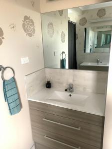 a bathroom with a sink and a mirror at KG Ensuite in Palmerston North