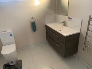 a bathroom with a sink and a toilet and a mirror at KG Studio in Palmerston North