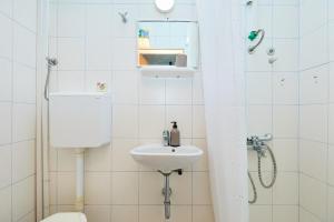 ein Bad mit einem WC, einem Waschbecken und einer Dusche in der Unterkunft Apartmets Sutmiholjska in Babino Polje