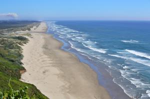 an aerial view of a beach next to the ocean at Sandpiper Shores in Florence