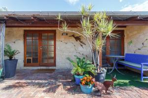 a dog standing in front of a house with plants at Binks Beach House - South Fremantle in South Fremantle