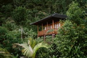 a small building in the middle of a forest at Munduk Menir Villas in Munduk