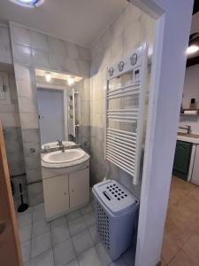 een kleine badkamer met een wastafel en een toilet bij Maison En Pierre Dans Village Calme in Monacia-dʼAullène