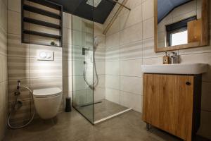 un bagno con doccia, WC e lavandino di Montagna Resort a Žabljak Altre 45 foto