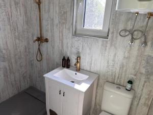 a bathroom with a white sink and a toilet at ALANTOS ŽIRGAI Holiday Villas sauna or hottube additional price in Alanta