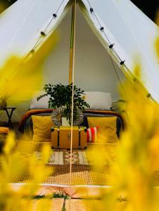 CAYORETREAT LUXURY BELL TENT外面的花园