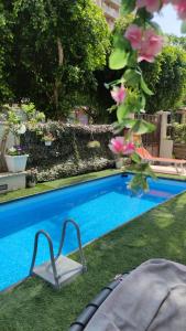 a swimming pool with a chair in the grass at Casa Le Rose in Palermo
