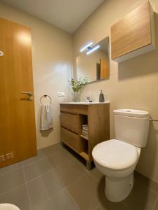 a bathroom with a toilet and a sink at Habitación en casa de Mikel in Olite