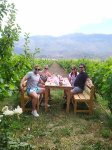 een groep mensen aan een tafel in een wijngaard bij The Barrels Ms in Gjirokastër