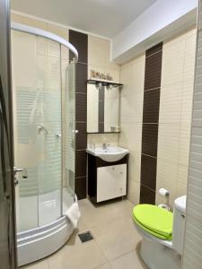 ママイアにあるTanya Apartments Summerlandのバスルーム(シャワー、トイレ、シンク付)