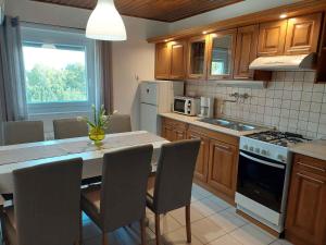 Η κουζίνα ή μικρή κουζίνα στο Apartment Balatonszarszo - Balaton 20084