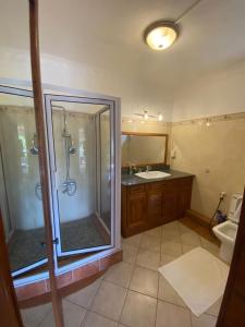 a bathroom with a shower and a sink at Résidence Mapou in Cap Malheureux