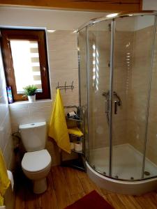 een badkamer met een toilet en een glazen douche bij Domek u Bartusia in Wisła