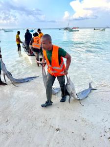 Hosté ubytování Kingstone lodge zanzibar