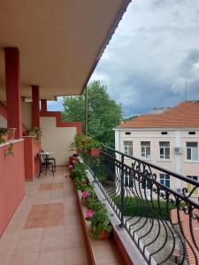 a balcony with a black railing and some plants at Elegant Complex in Pazardzhik