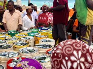 Hosté ubytování Kingstone lodge zanzibar