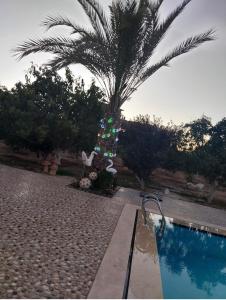 a palm tree next to a swimming pool at فيلا لوزان الريف الاوروبي in ‘Ezbet Sharikât Wardan