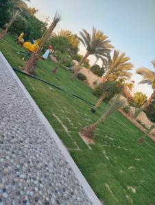 a person sitting in a park with palm trees at فيلا لوزان الريف الاوروبي in ‘Ezbet Sharikât Wardan