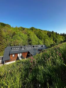 a house with a black roof on a hill at Rákosárna Suites & Apartments in Špindlerův Mlýn