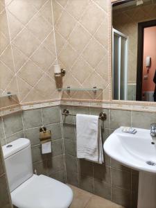 a bathroom with a toilet and a sink and a mirror at Apartamento Puerta del Sol de 1 habitación in Candelario