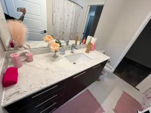 a bathroom with a sink and a mirror at Dreamy Pink Resort Style Oasis in Channelside in Tampa
