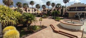 a park with a bench and palm trees and buildings at Appartamento Lusi Sole e Mar in Costa Del Silencio
