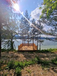a swing on the shore of a lake at Nomad Domes in Rugineşti
