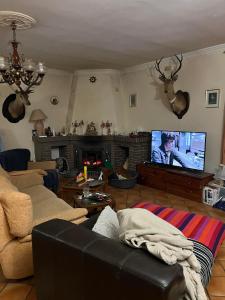 sala de estar con sofá y TV en HP Eco Farm, en Peñarroya-Pueblonuevo