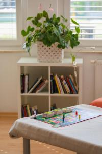 uma mesa de lego com uma planta e uma estante de livros em TEJ HOSTEL em Liubliana