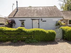 ein weißes Haus mit einer Hecke davor in der Unterkunft The Old Stable in Haverfordwest