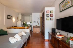ein Wohnzimmer mit einem Sofa und einem TV in der Unterkunft Sun Deck Studio Albufeira Jardim in Albufeira