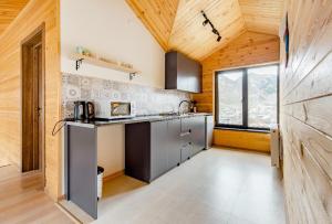 Aronia Kazbegi 주방 또는 간이 주방