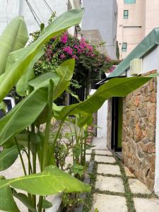 a garden with plants and flowers on a building at Yên Homestay Đà Nẵng in Da Nang