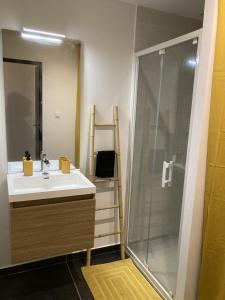 ein Bad mit einem Waschbecken und einer Dusche in der Unterkunft Appartement au cœur d'Espalion Le Perchoir du Lot in Espalion