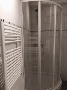 La salle de bains est pourvue d'une douche en verre et de toilettes. dans l'établissement Lovely n° 9 op ieder moment een prachtig zeezicht & zwembad, à Middelkerke