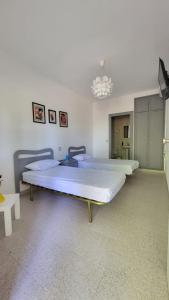 Hostal San Martin de Montalban的电视和/或娱乐中心