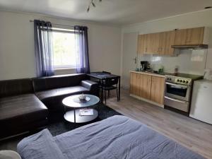 ein Wohnzimmer mit Sofa und eine Küche in der Unterkunft Dalen studio 3 in Dalen