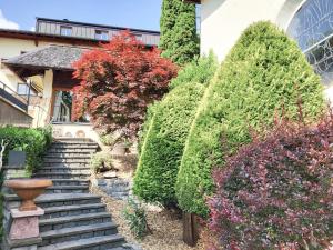 Zahrada ubytování Wanderhotel Garni Cresta + 32 fotografií