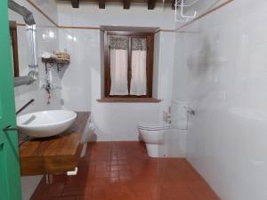 Baño blanco con lavabo y aseo en Il Sole alla Terra, en Terricciola